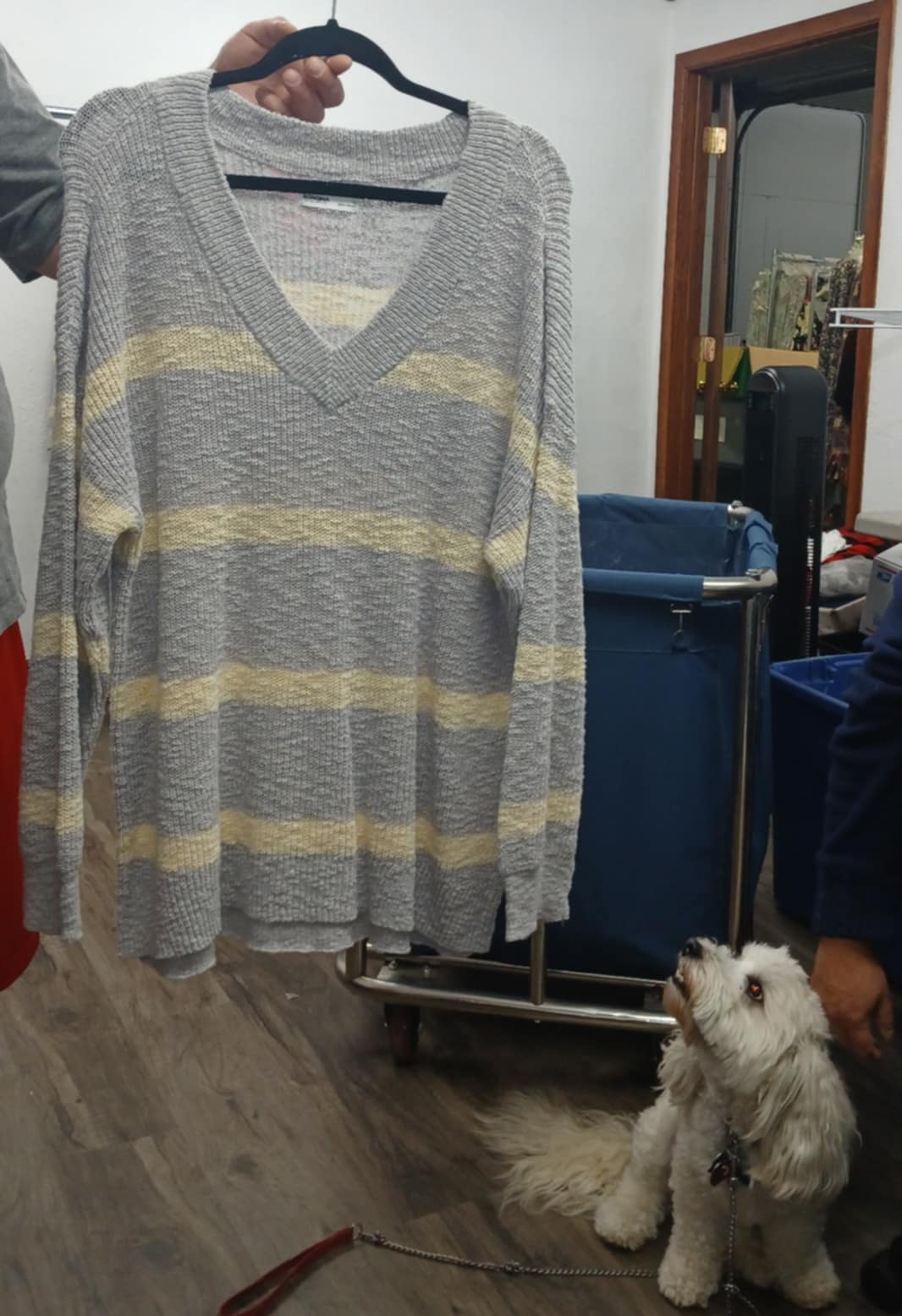 Gray Ivory V Neck Sweater Shirt Top