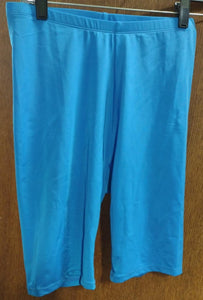 Beautiful Blue Swim Swimming Short Shorts