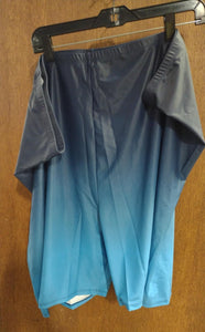 Ombre Blue Swim Swimming Bike Short Shorts